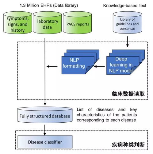 中國AI登上Nature子刊 讀懂病歷、推薦診斷，準確度超越人類醫生